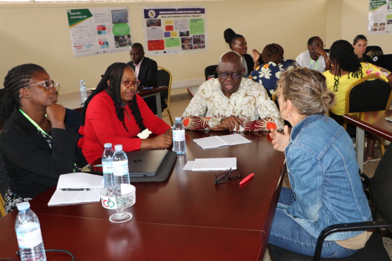 The INSSPIRE Journey (2022–2025): Celebrating a Transformative Collaboration